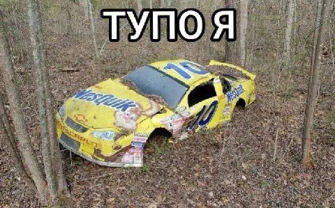 ТУПО Я