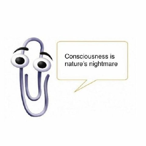 Consciousness is nature's nightmare