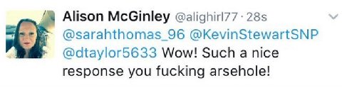 Alison McGinley @sarahthomas 96 @KevinStewartSNP @dtaylor5633 Wow! Such a nice response you fucking arsehole!
