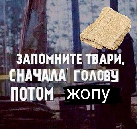 ЗАПОМНИТЕ ТВАРИ, (НАЧАЛА ГОЛОВУ ПОТОМ жопу