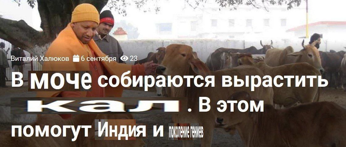 В МОЧЕ собираются вырастить помогут Индия И