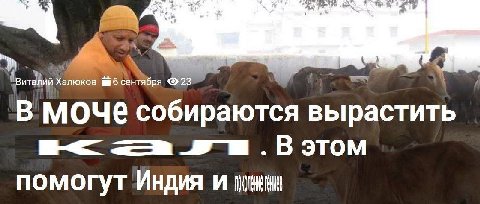 В МОЧЕ собираются вырастить помогут Индия И