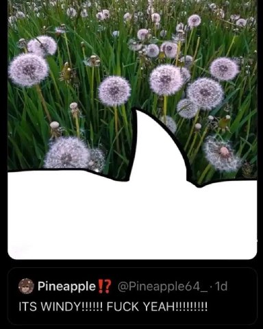 vey, we Pineapple ITS FUCK УЕАНИИИИ!
