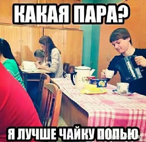 ПАРА or? Я ЛУЧШЕ ЧАЙКУ