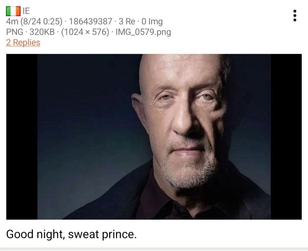 (8/24 0:25) 186439387 3 0 PNG (1024 576) IMG_0579.png Good night, sweat prince.