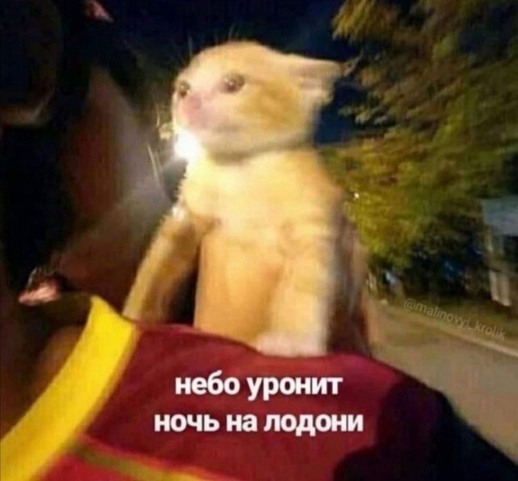 небо уронит ночь на лодони