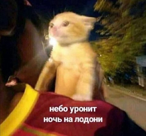 небо уронит ночь на лодони