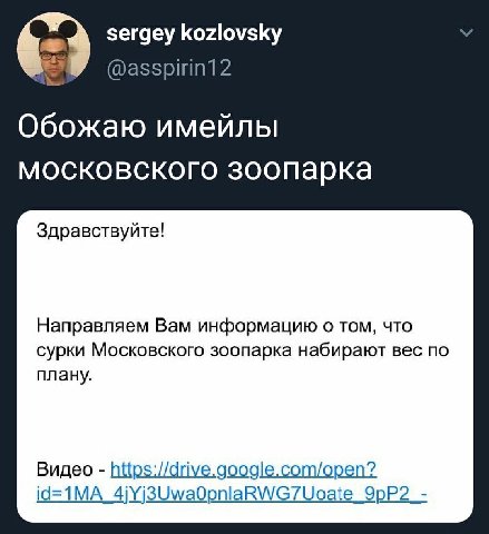 sergey kozlovsky Обожаю имейлы московского зоопарка Здравствуйте! Направляем Вам информацию о том, что сурки Московского зоопарка набирают вес по плану. Видео https://drive.google.com/open? id=1MA_4jY