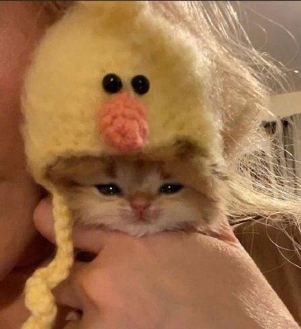 San 4 В и у у