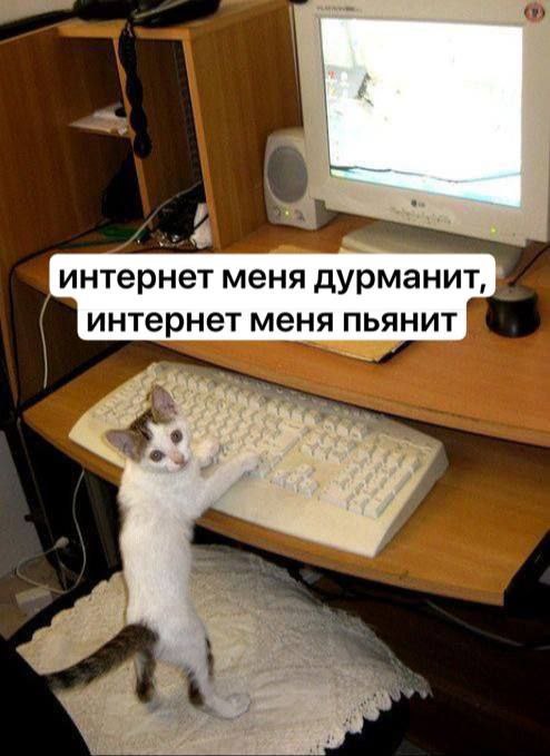 интернет меня дурманит, интернет меня пьянит