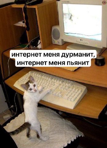 интернет меня дурманит, интернет меня пьянит