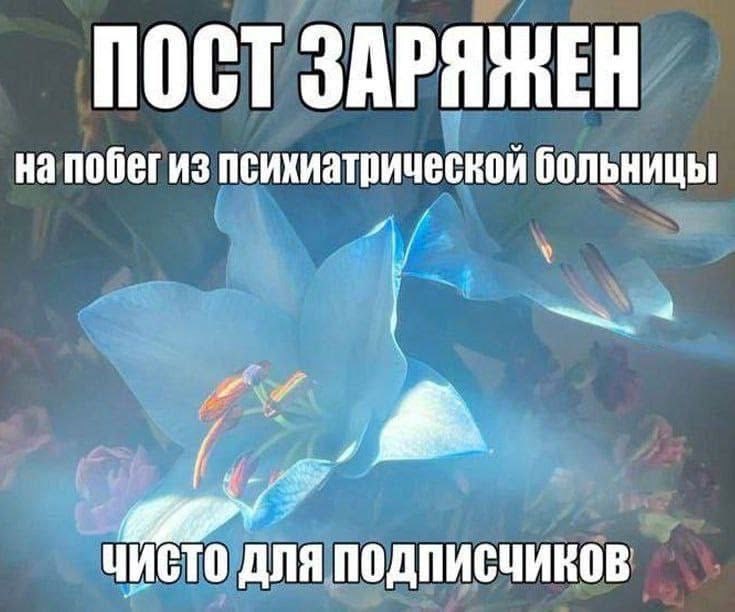 ПОСТ ЗАРЯЖЕН на побегиз психиатрической больницы fer ДлЯ ПОДПИСЧИКОВ