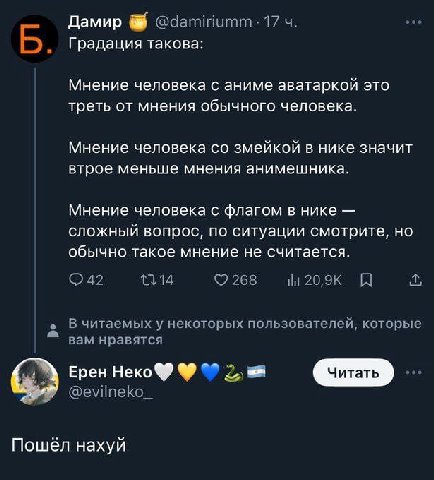 Дамир @damiriumm- 17 Б. Градация такова: Мнение человека с аниме аватаркой это треть от мнения обычного человека. Мнение человека змейкой в нике значит втрое меньше мнения анимешника. Мнение человека 