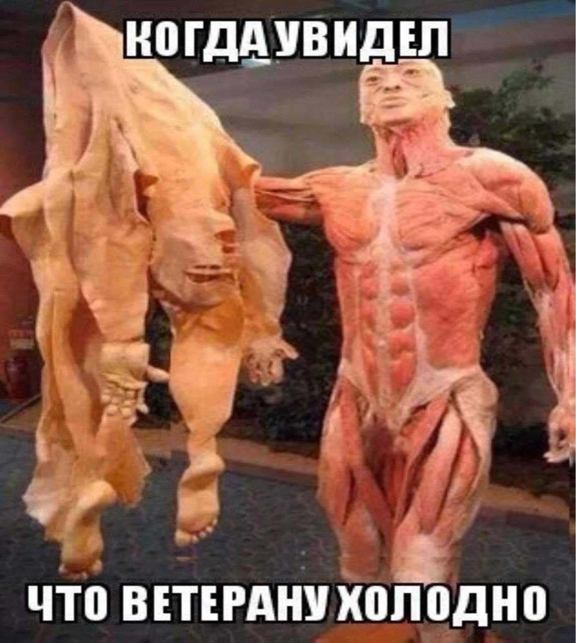 КОГДАУВИДЕЛ ЧТО ВЕТЕРАНУ ХОЛОДНО