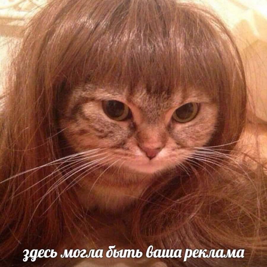 А! могла дыть ваша реклама