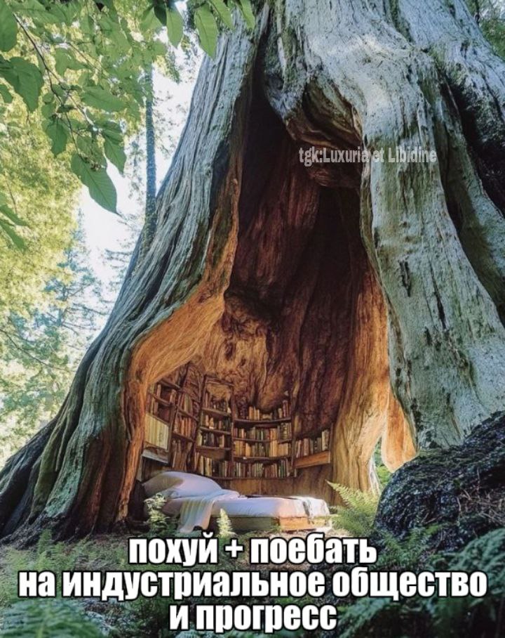 у be. 4. a a похуй поебать индустриальное общество ипрогресс
