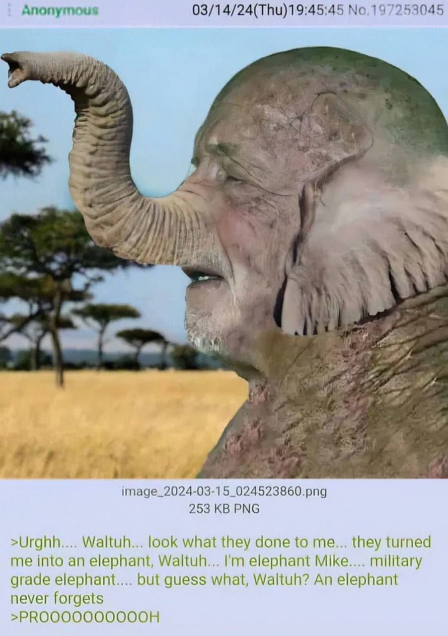 image_2024-03-15_024523860.png 253 PNG >Urghh.... Waltuh... look what they done to me... they turned me into an elephant, Waltuh... elephant Mike.... military grade but guess what, Waltuh? An elephant