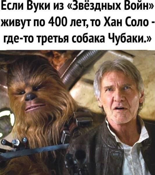сли Вуки из «Звездных Войн» живут по 400 лет, то Хан Соло где-то третья собака Чубаки.» и. i