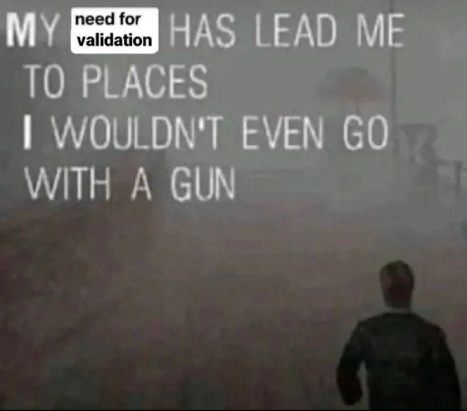 MY 358 HAS LEAD ME TO PLACES WOULDN'T EVEN WITH A GUN