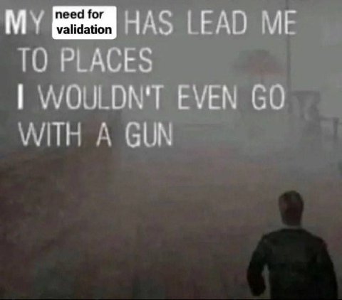 MY 358 HAS LEAD ME TO PLACES WOULDN'T EVEN WITH A GUN