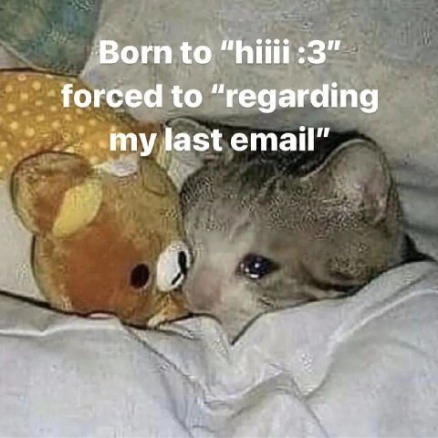 Born to forced to “regarding my last email”
