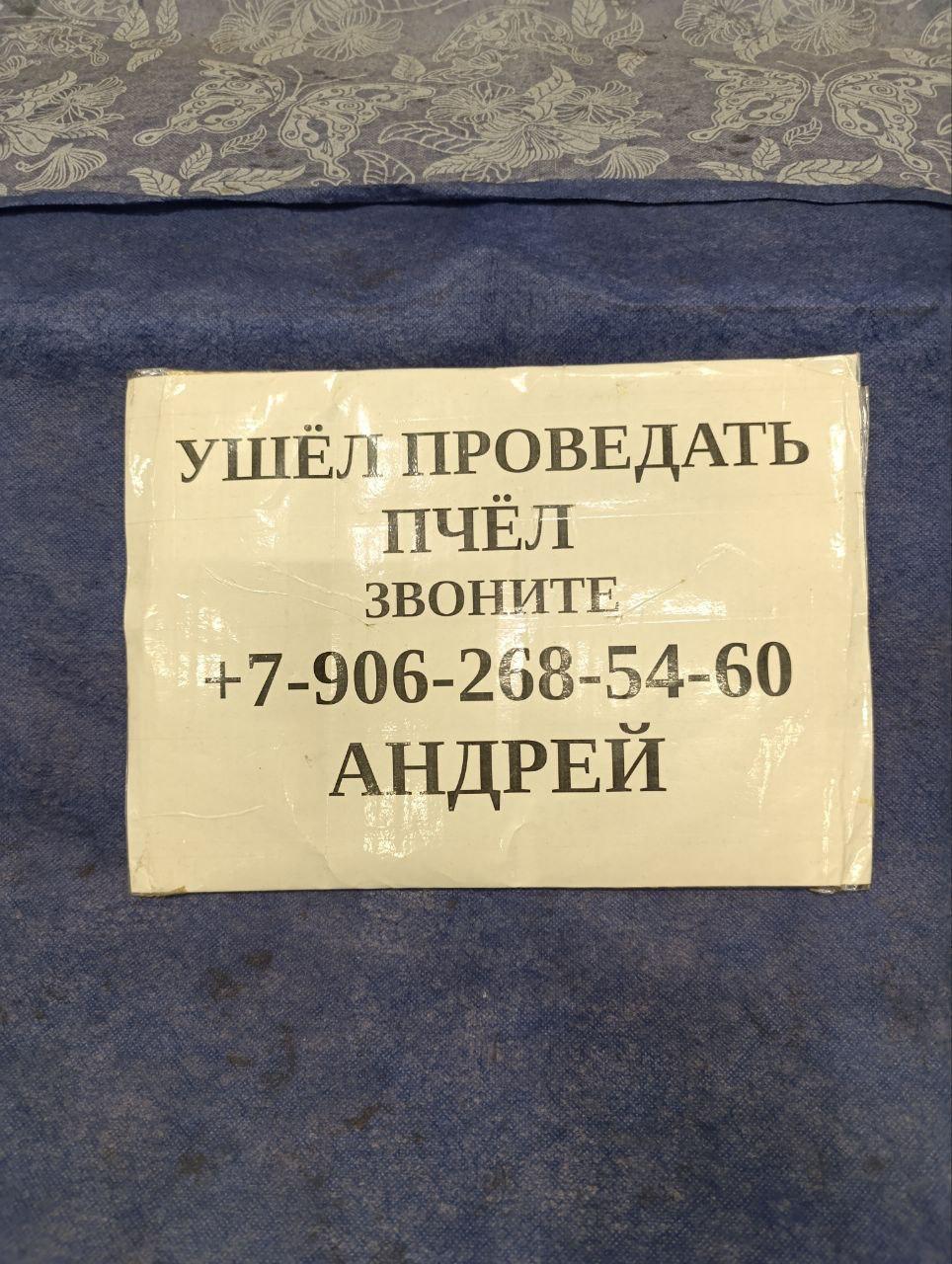 УШЁЛ ПРОВЕДАТЬ ПЧЕЛ ЗВОНИТЕ +7-906-268-54-60 АНДРЕЙ