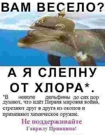 ВАМ ВЕСЕЛО? А Я СЛЕПНУ ОТ ХЛОРА*. "В неволе дельфины снх пор думают. что идёт Первая мнровая война. стреляют друг в применяют химическое оружие Не поддерживайте Гаврилу