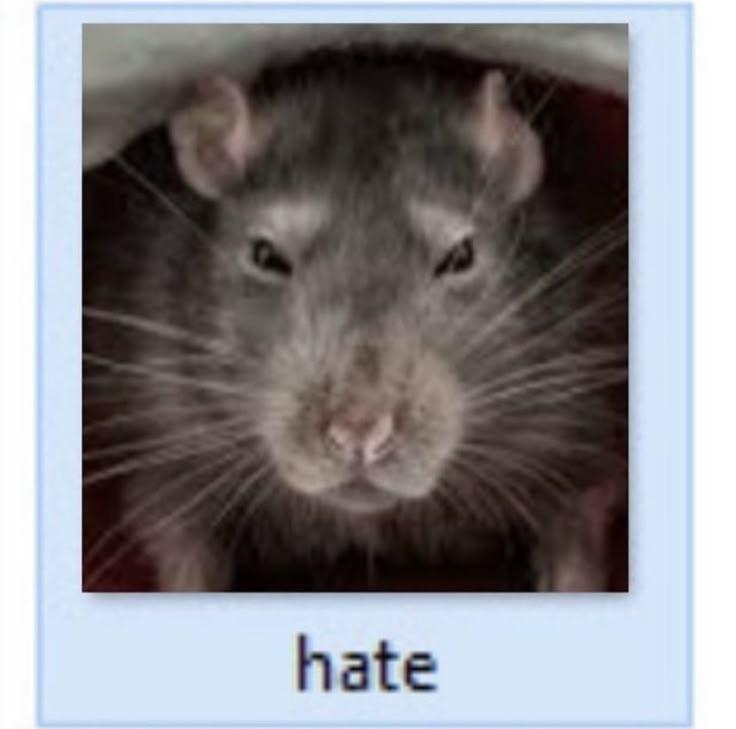 hate