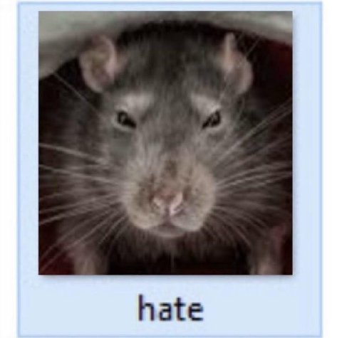 hate