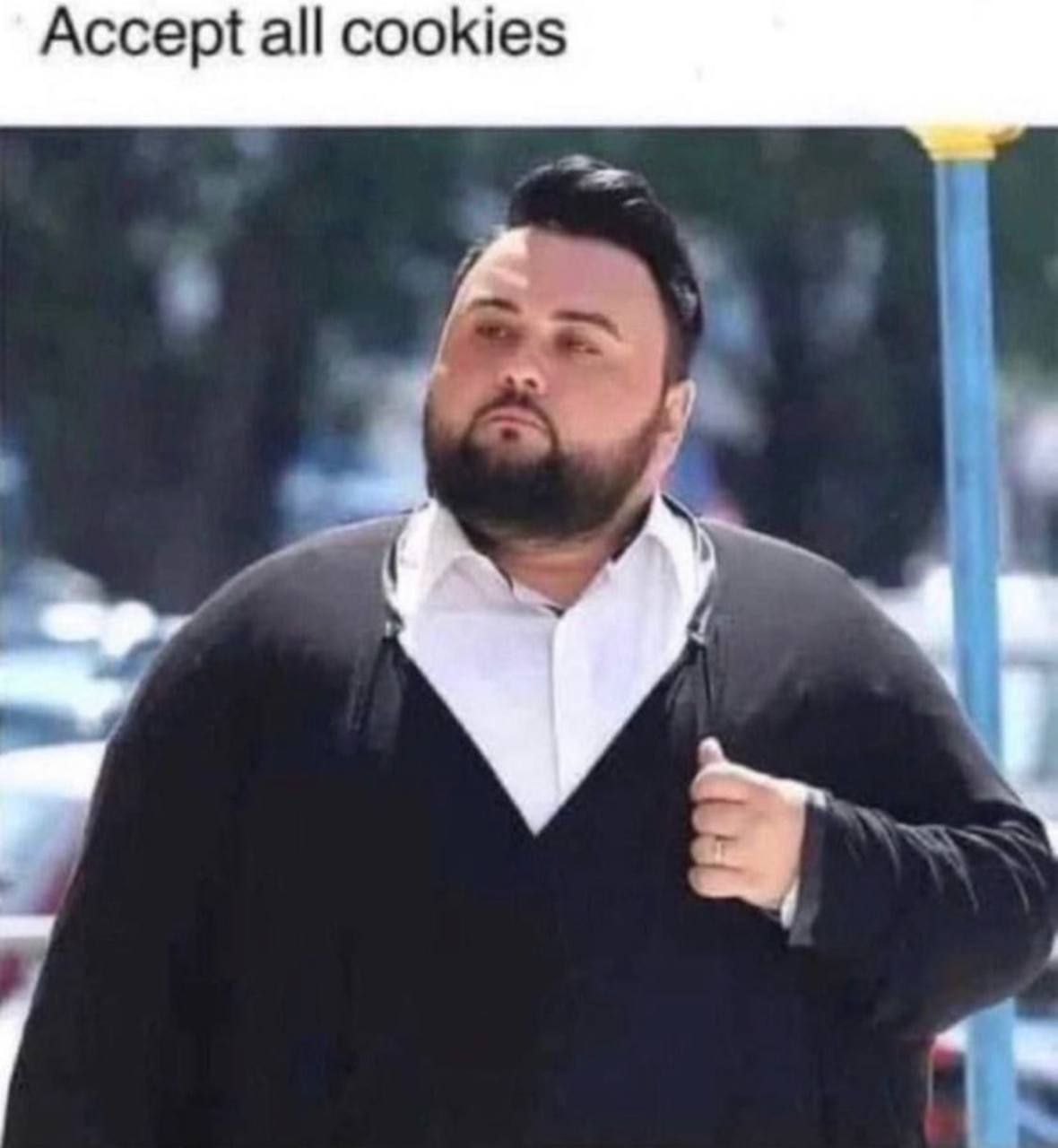 Accept all cookies