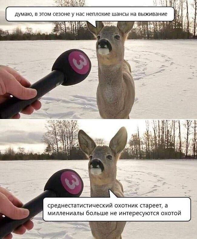 if думаю, в этом сезоне у нас неплохие шансы на выживание а we a a я 4 среднестатистический охотник стареет, a миллениалы больше не интересуются охотой