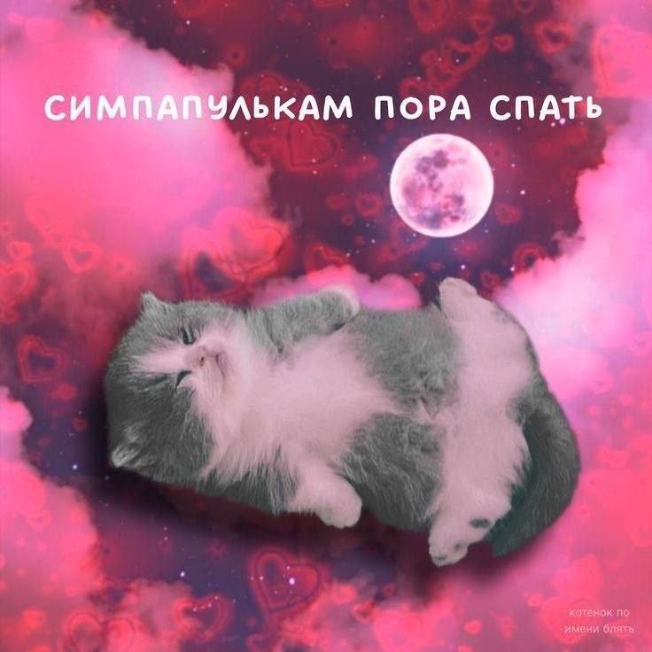 СИМПАПУЛЬКАМ ПОРА СПАТЬ