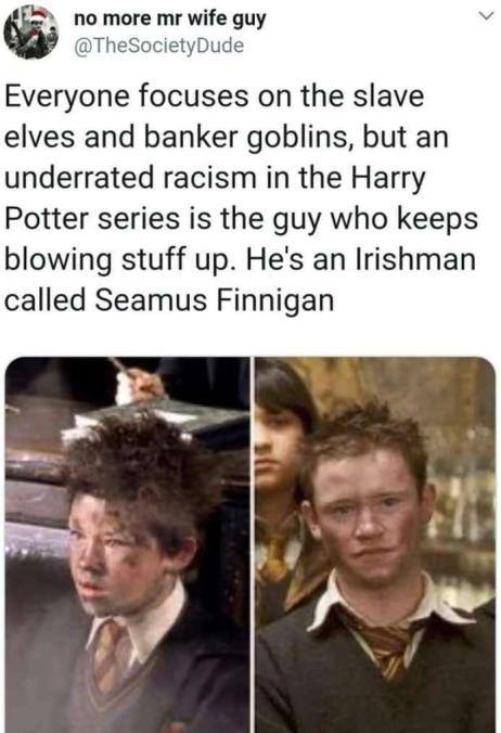 по more wife guy У @TheSocietyDude Everyone focuses on the slave elves and banker goblins, but an underrated racism in the Harry Potter series is the guy who keeps blowing stuff up. He's an Irishman c