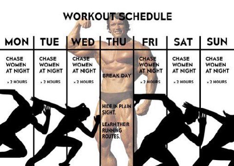 WORKO HEDULE {3 МОМ TUE FRI SAT SUN CHASE CHASE CHASE CHASE WOMEN WOMEN WOMEN WOMEN WOMEN AT NIGHT AT NIGHT AT NIGHT AT NIGHT AT NIGHT BREAK 2HOURS 2 HOURS 2HOURS 2 SIG PLAIN THEIR