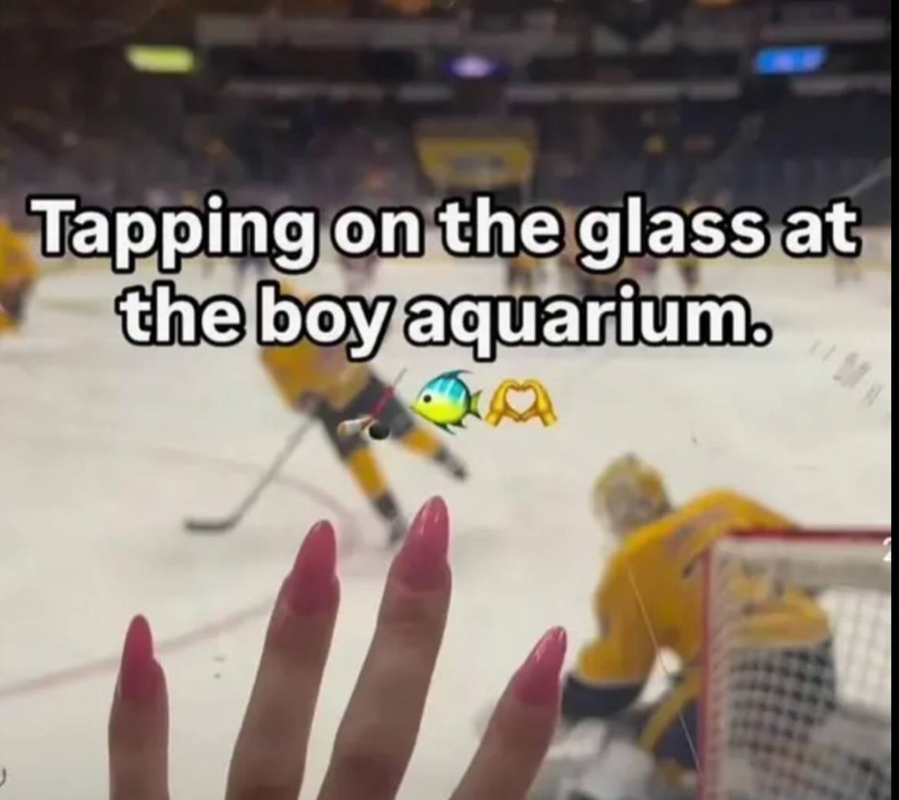Tapping the glass at the, boy