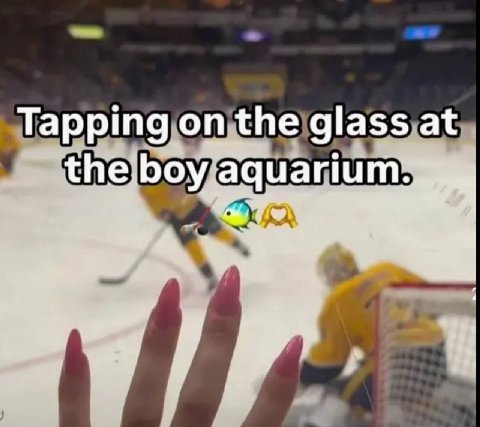 Tapping the glass at the, boy