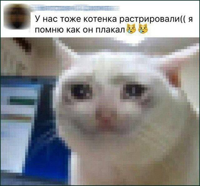 У нас тоже котенка растрировали(( я помню как он