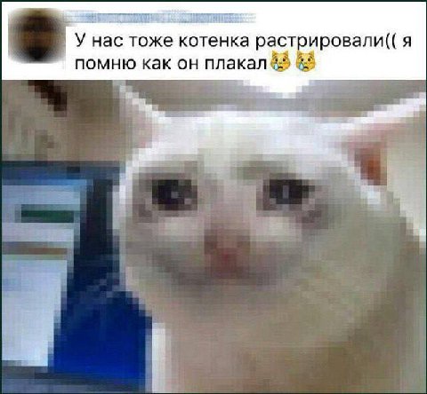 У нас тоже котенка растрировали(( я помню как он