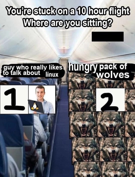 10 2 guy whe really likes ПИПОГУ раск linux Wolves