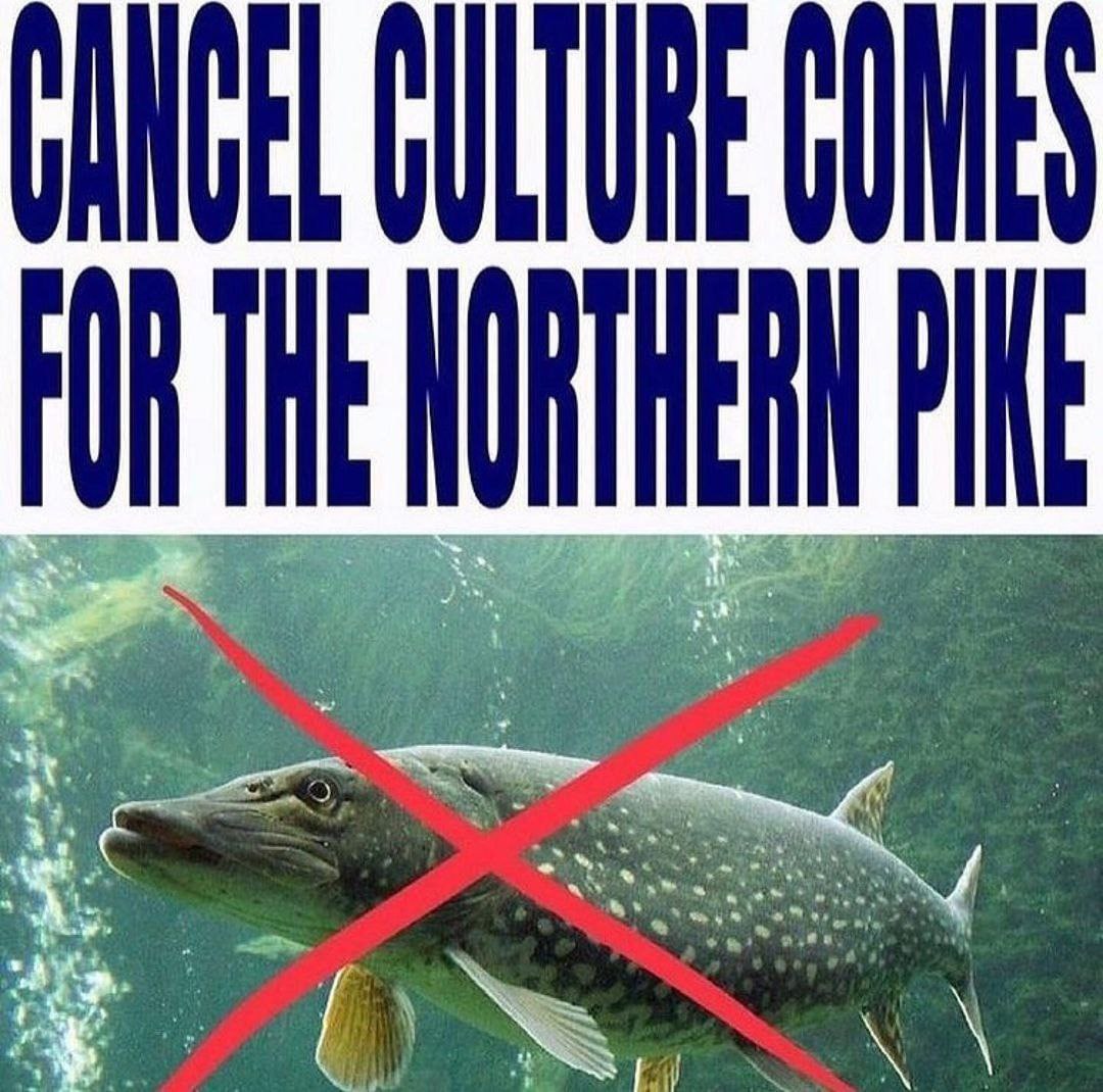 к. 1% 4 В put к