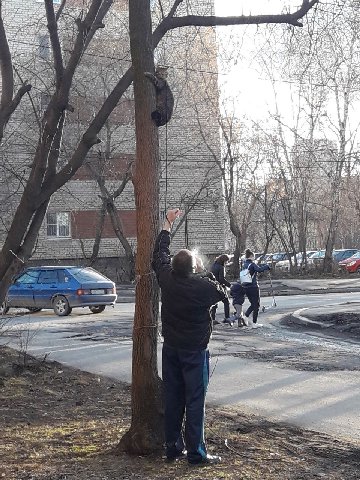 у i We i