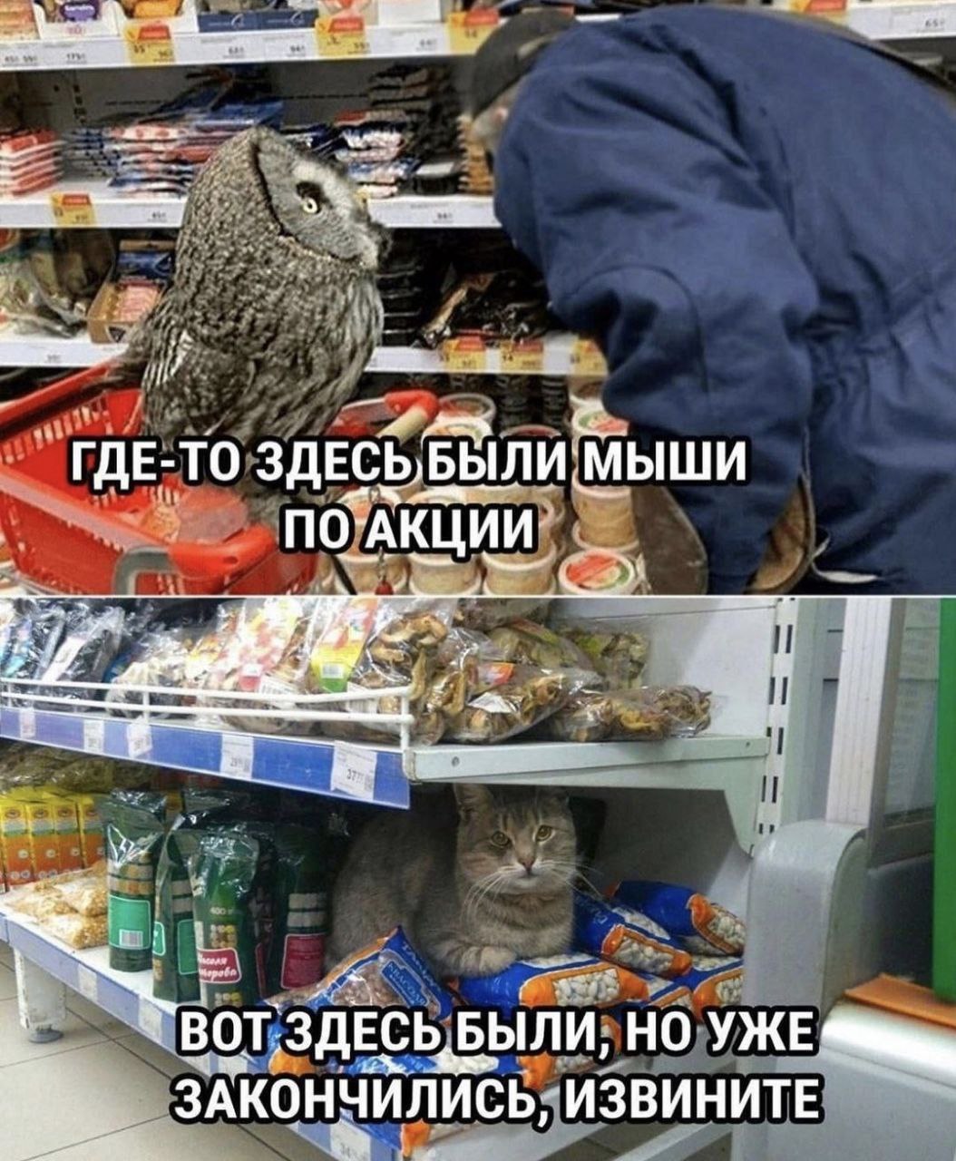 ГДЕ-ТО ЗДЕСЬБЫЛИ МЫШИ i БЫЛИ, НО УЖЕ ayy В. ЗАКОНЧИЛИСЬ, ИЗВИНИТЕ