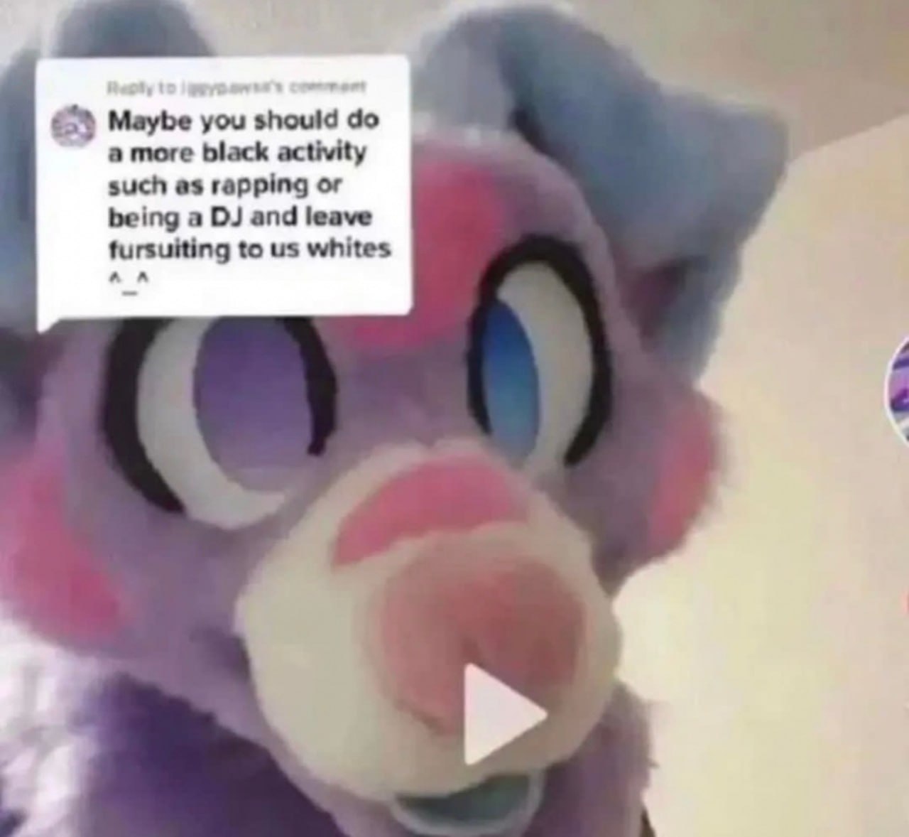 Maybe you should a more black activity such as rapping or being a and leave fursuiting to whites