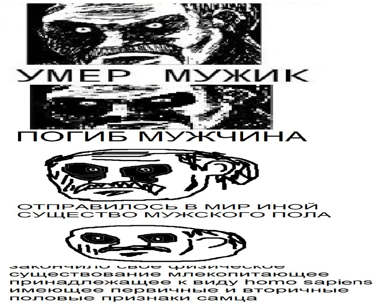 ВЫ A: MMP MHOM 1 5 Momo sapiens