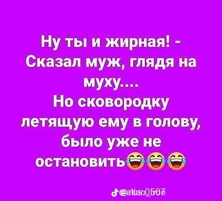 Ну ты и жирная! Сказал муж, глядя на муху.... Но сковородку летящую ему в голову, было уже не остановить 22