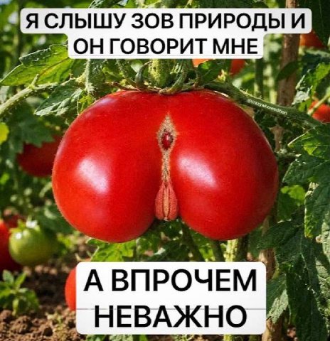 Я СЛЫШУ ЗОВ ПРИРОДЫ И ОН ГОВОРИТ МНЕ a a) А ВПРОЧЕМ 8 а НЕВАЖНО
