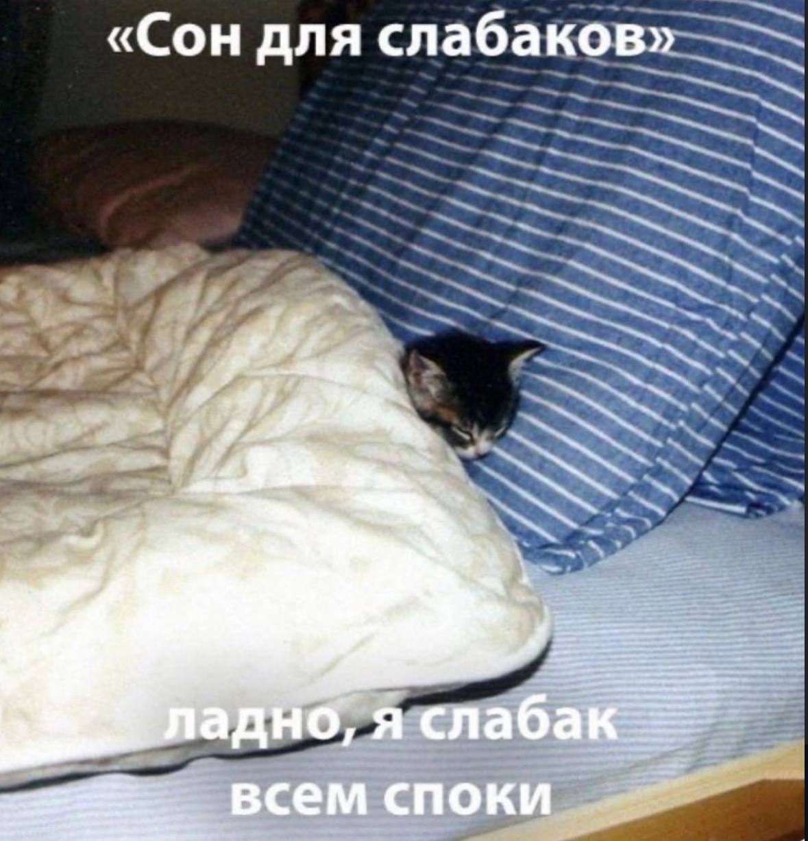«Сон для слабаков» адно, я слабак всем споки