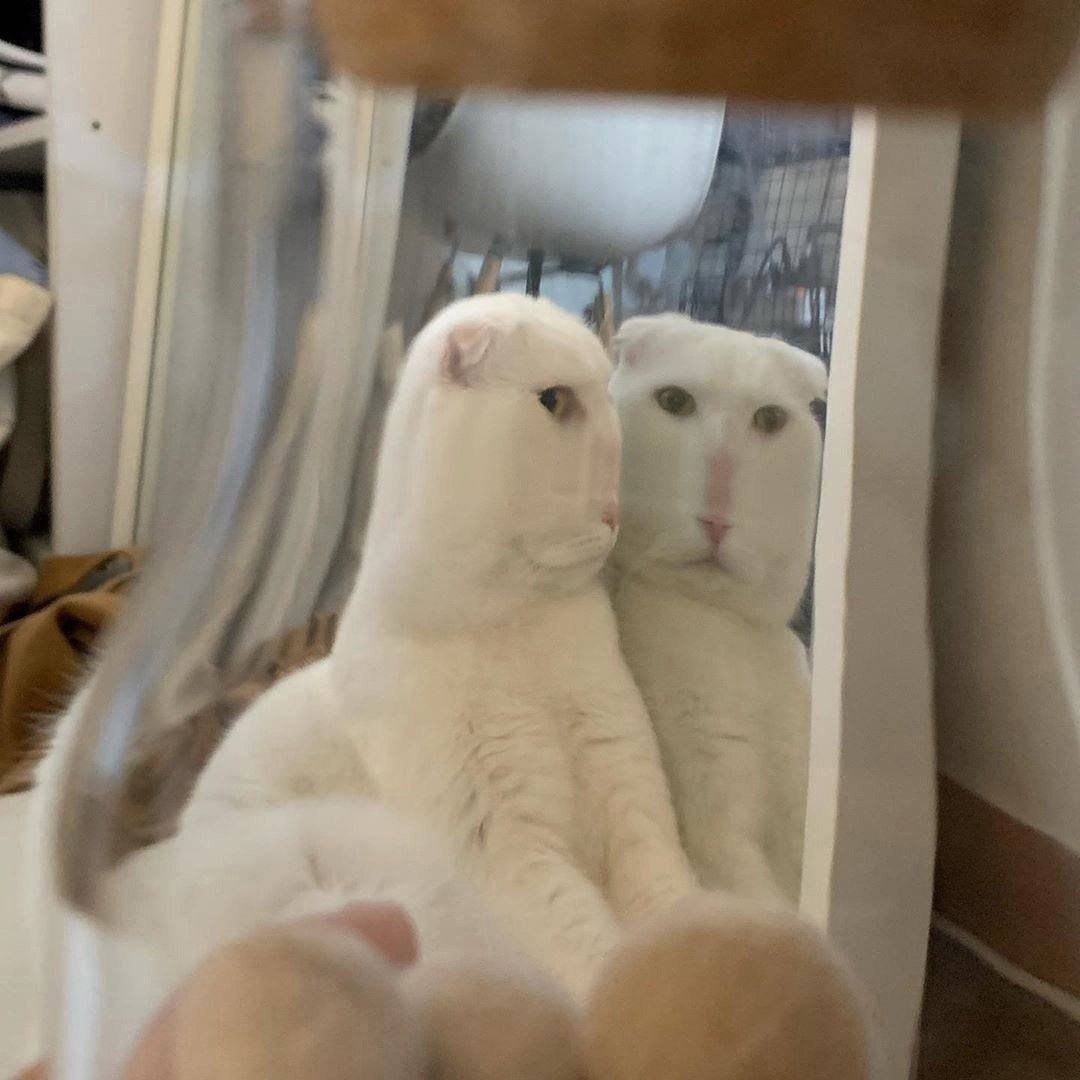 я A