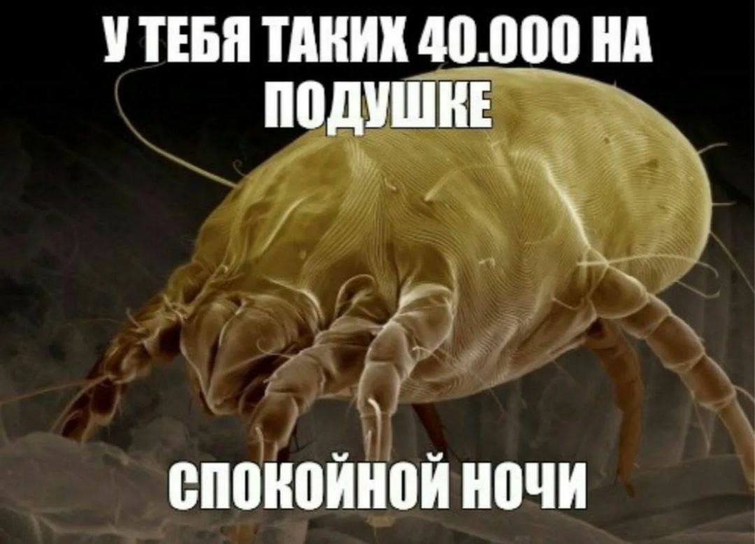 УТЕБЯ ТАКИХ 40.000 НА СПОКОЙНОЙ НОЧИ