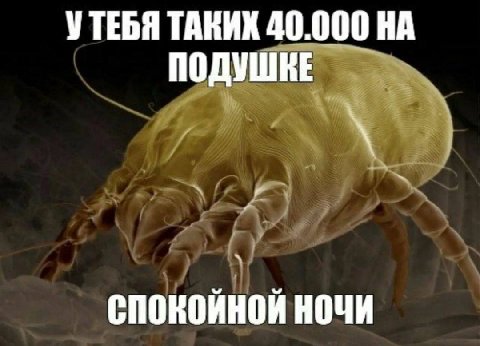 УТЕБЯ ТАКИХ 40.000 НА СПОКОЙНОЙ НОЧИ